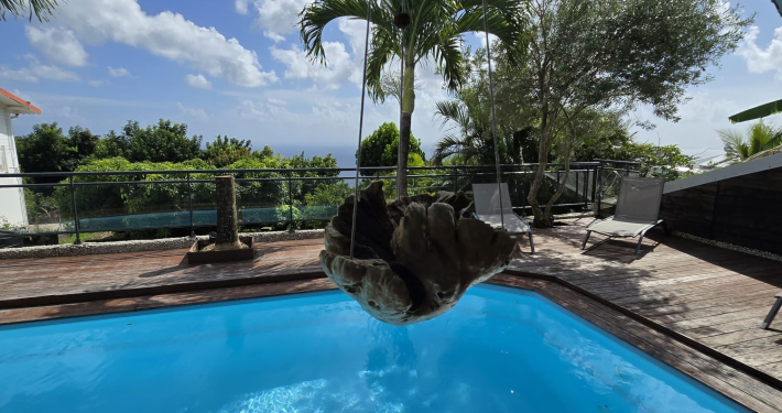 Lana piscine plante