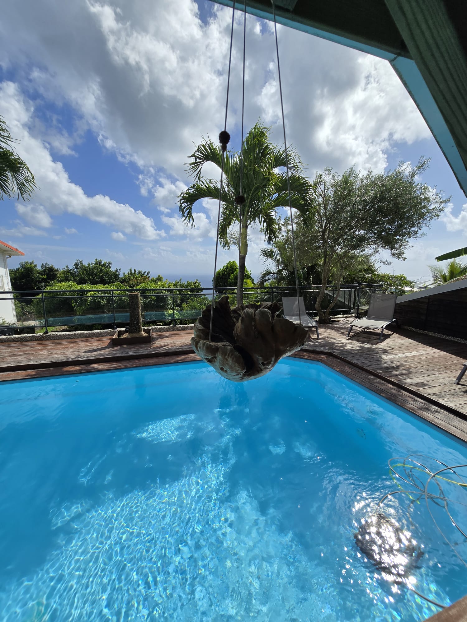 Lana piscine plante